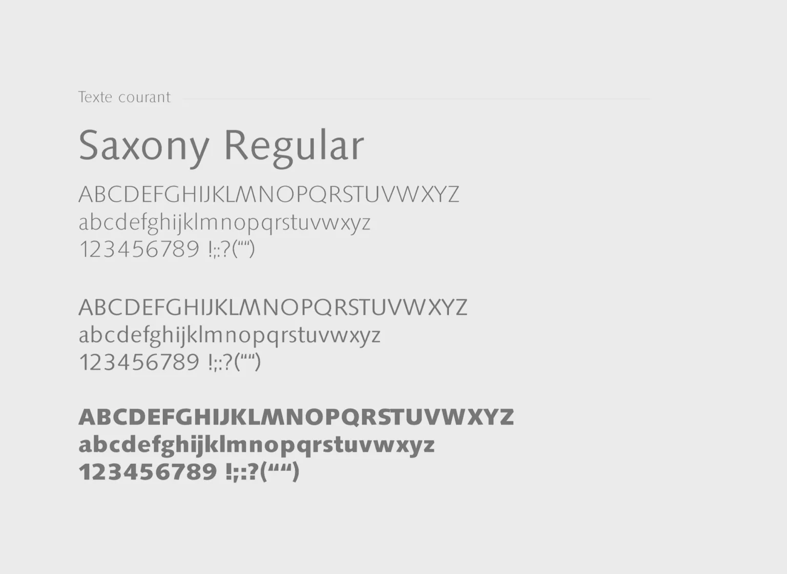 Identité graphique typographie pour Mercier réalisée par Ivimédia