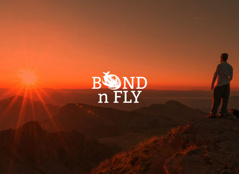 Visuel pour Bond'N Fly