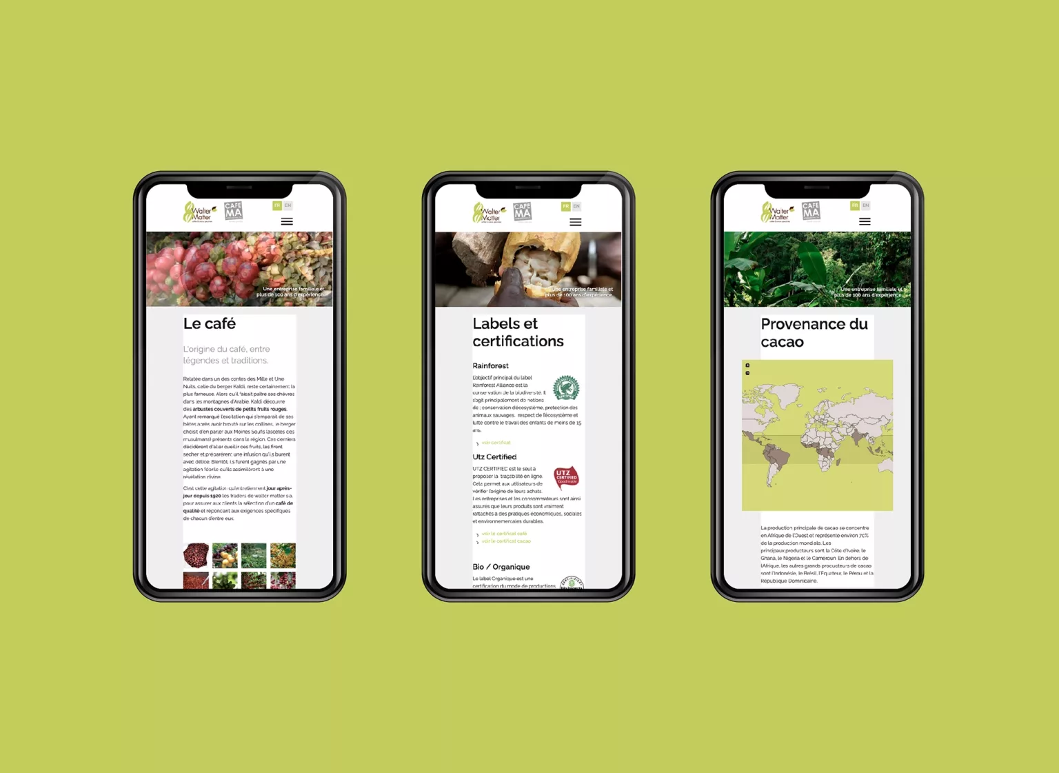 Site internet plateforme web réalisés par Ivimédia pour Walter Matter sur mobile