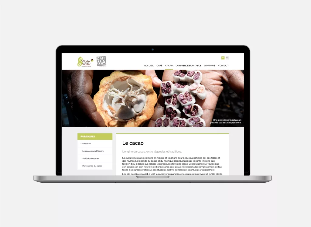 Site internet plateforme web réalisés par Ivimédia pour Walter Matter