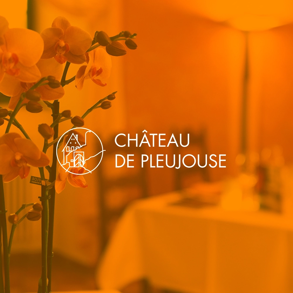 Chateau de pleujouse